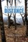 In Walking Distance