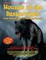 Hounds Of The Baskervilles. From Demon Dogs To Sherlock Holmes