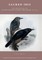 Sacred Ibis