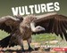 Vultures