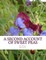 A Second Account of Sweet Peas