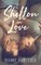 Shelton in Love