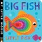 Big Fish Little Fish