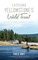 Catching Yellowstone's Wild Trout