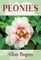 Peonies