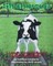 Shamrock The Calf That Beats the Odds