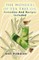 The Wonders Of Tea Tree Oil
