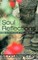 Soul Reflections