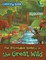 The Incredible Beauty of the Great Wild Coloring Book