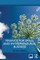 Finance for Small and Entrepreneurial Business