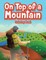 On Top of a Mountain Coloring Book