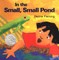 In the Small, Small Pond