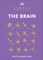 Simply the Brain