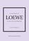 Little Book of Loewe