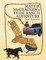 MATTIE McCRACKEN'S DUDE RANCH ADVENTURE