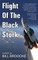 Flight of the Black Stork