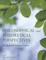 Philosophical and Theoretical Perspectives for Advanced Nursing Practice