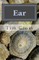 Ear