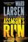 Assassin's Run