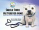 Farkle Finds His Furever Home