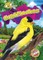 Goldfinches