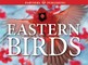 Eastern Birds