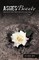 Ashes to Beauty