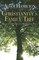 Christianity's Family Tree Participant's Guide