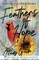 Feathers of Hope Study Guide