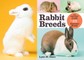 Rabbit Breeds