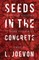 Seeds in the Concrete