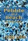 Pebble on the Beach