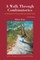 Walk Through Combinatorics, A: An Introduction to Enumeration and Graph Theory (Fourth Edition)