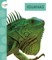 Iguanas