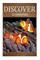 Clown Fish - Discover