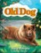 Old Dog