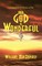 Our God is Wonderful