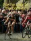 For the Love of the Cobbles