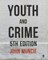 Youth and Crime