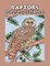 Raptors - Birds of Prey Coloring Book