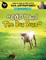 Cody & Bob In The Little Tail Adventures