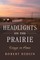 Headlights on the Prairie