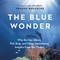 The Blue Wonder