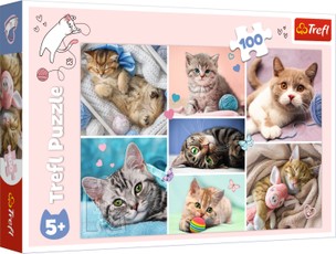 TREFL puzzle In the cats world 100 psc