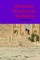 Roman Numeral Sudoku Volume 2