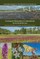 Ecological Restoration in International Environmental Law