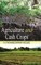 Agriculture and Cash Crops