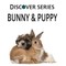 Bunny & Puppy
