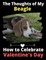 The Thoughts of My Beagle