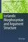 Icelandic Morphosyntax and Argument Structure